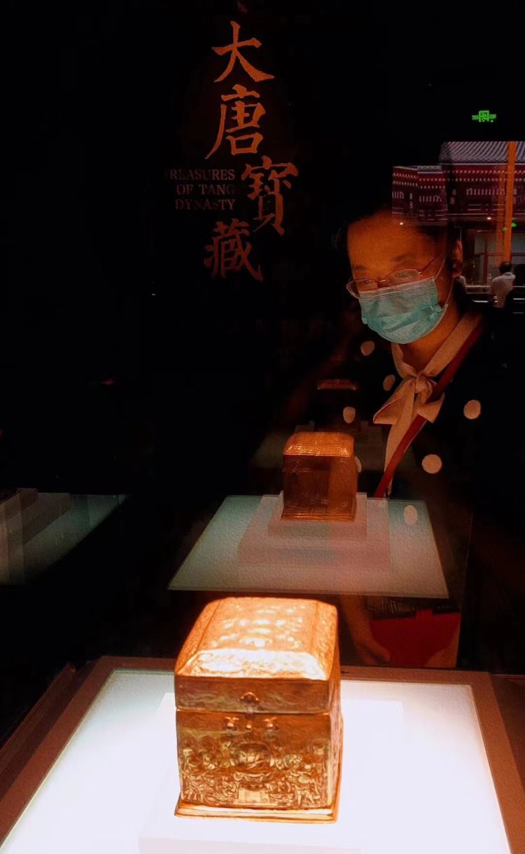 “感受大唐風(fēng)華” 深圳市金石藝術(shù)博物館赴東莞市博物館 開展館際交流活動(dòng)插圖(3)