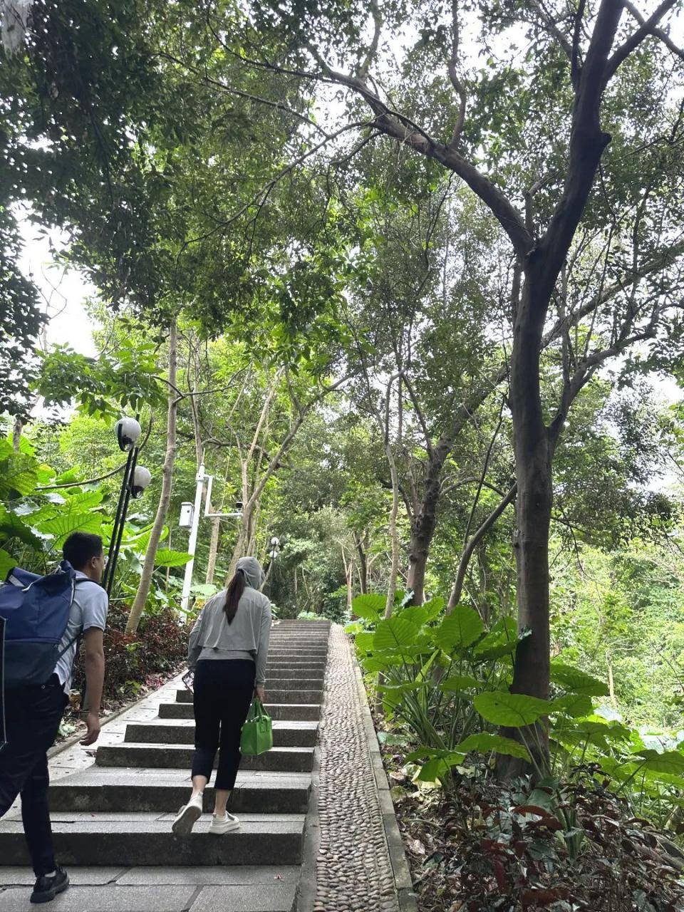 巖星之聲|巖星科建黨支部赴蓮花山開(kāi)展主題黨日活動(dòng)插圖(2) 圖片